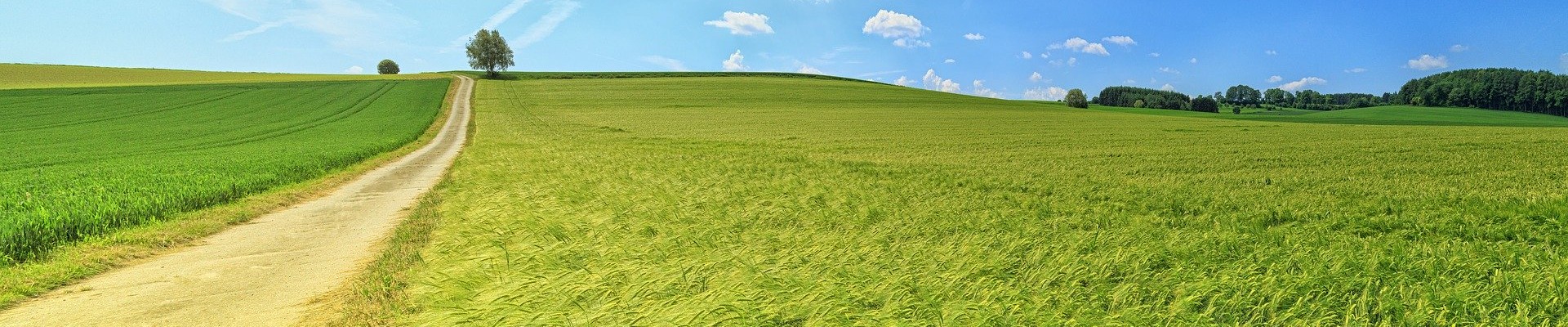 Maniagro Argentina