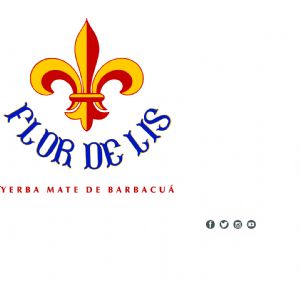 EXTRACTO DE YERBA MATE ORGANICO